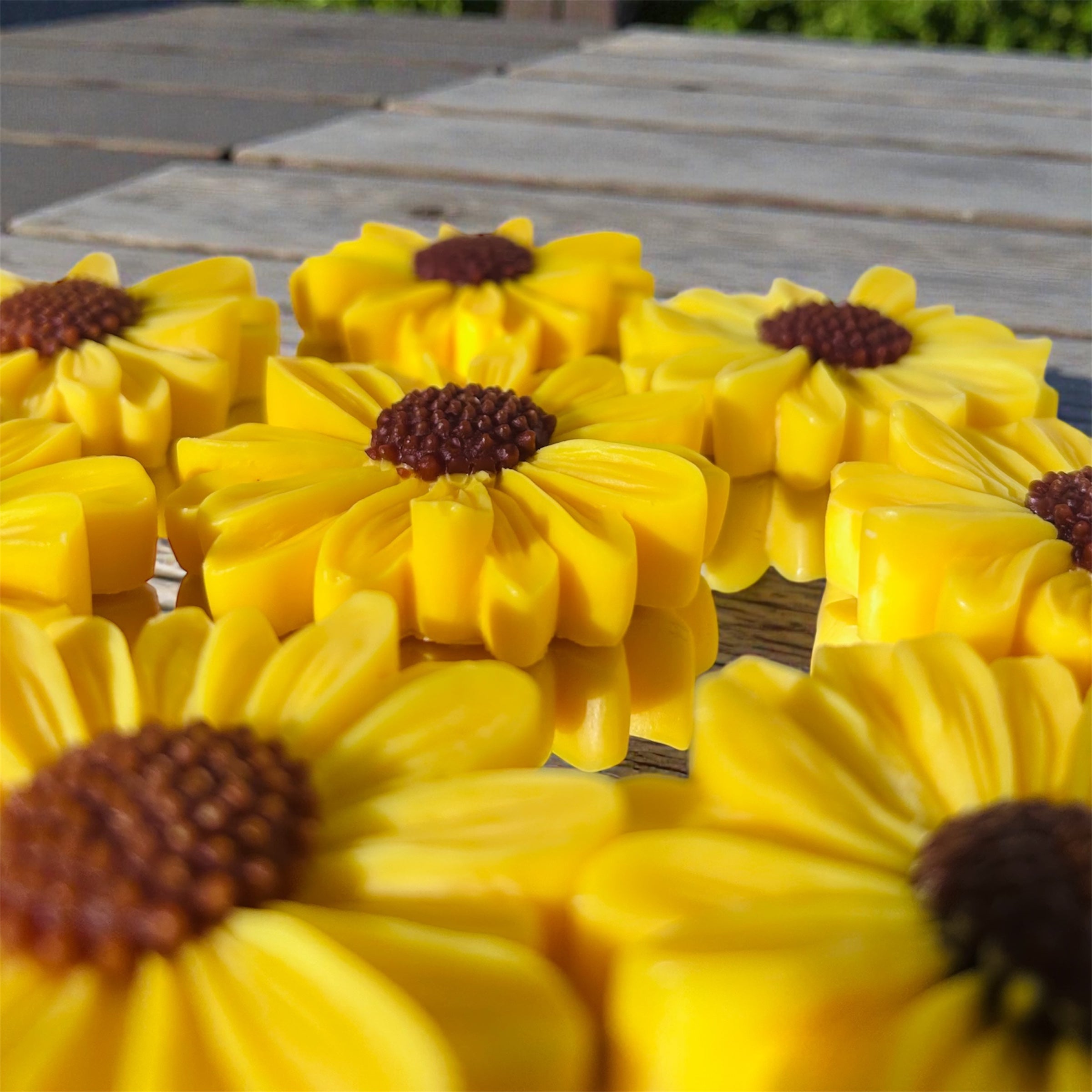 Sunburst-8oz Luxury Soy Candle